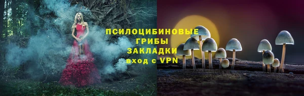 тгк Армянск