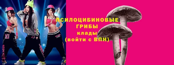 тгк Армянск