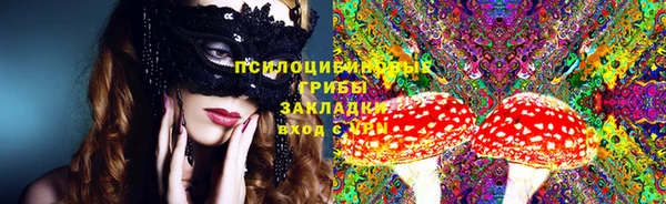 тгк Армянск