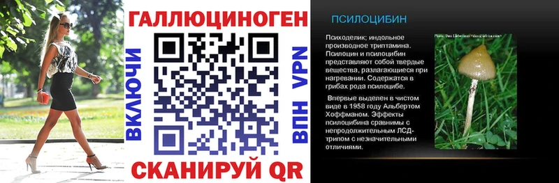 как найти наркотики  Белая Холуница  Псилоцибиновые грибы GOLDEN TEACHER 